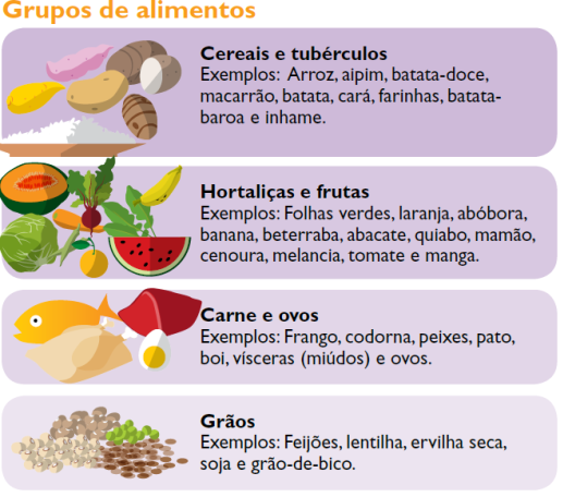 Pular Refeições: Mito ou Verdade para Emagrecer?