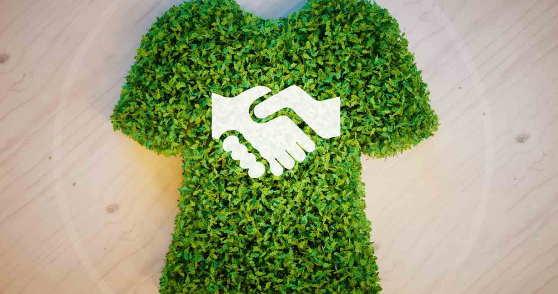 Guia Completo de Tecidos Ecológicos na Moda