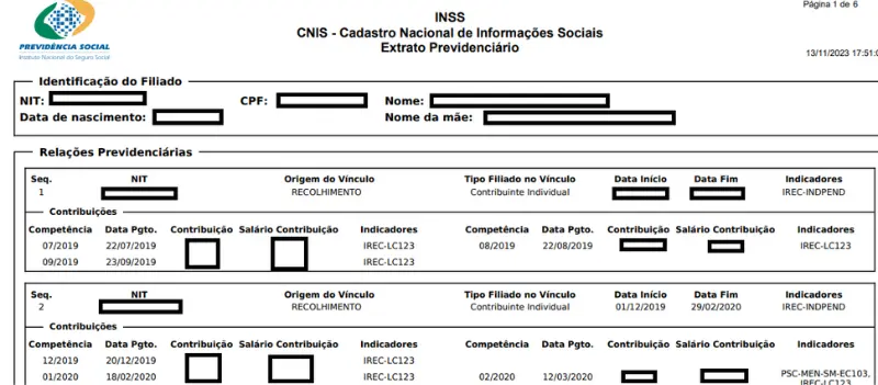o que é cnis e para que serve