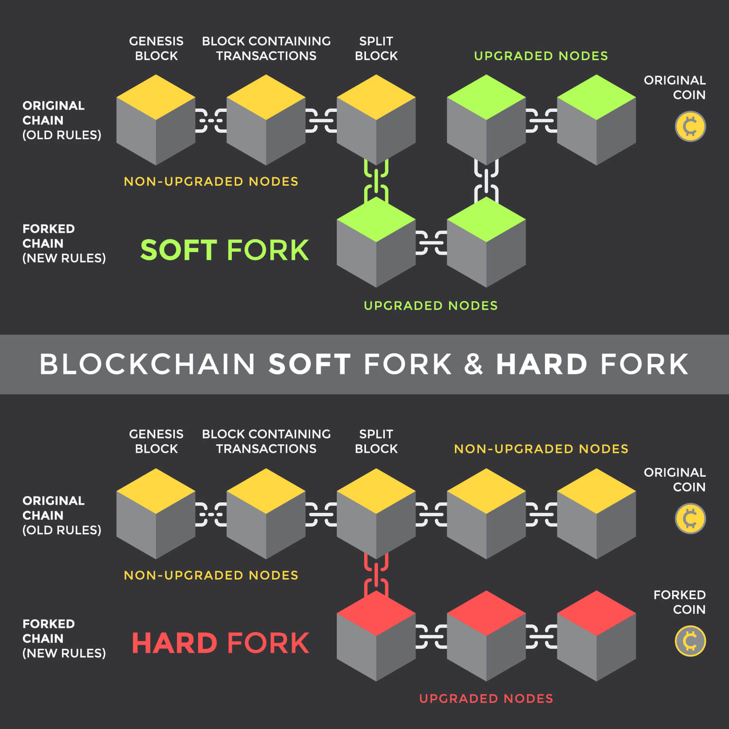 Bitcoin Cash: A História por Trás do Hard Fork