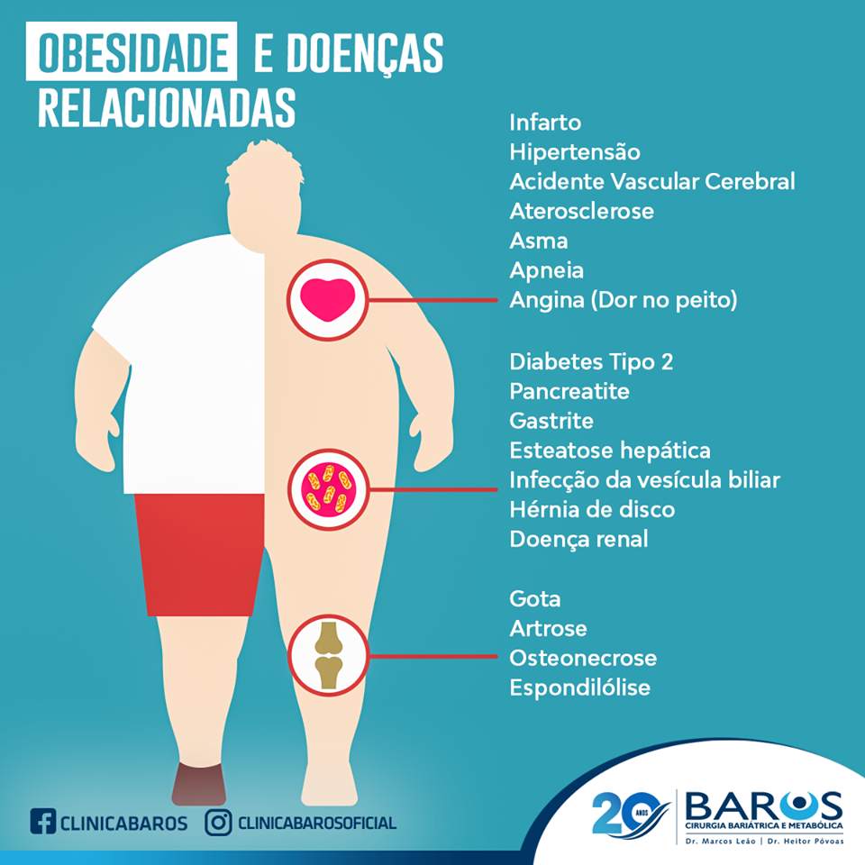 melhores dietas para perder peso rápido