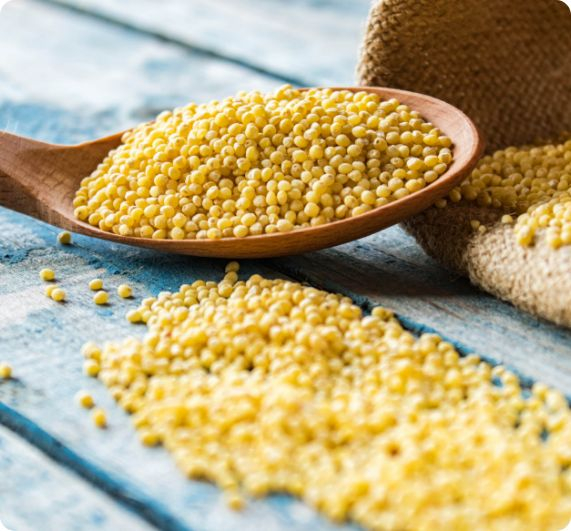 erros comuns ao cozinhar painço