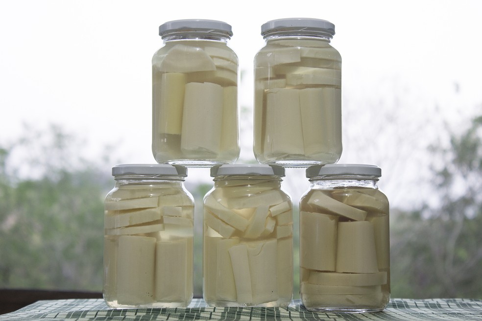 Guia Completo: Como Escolher o Melhor Palmito em Conserva no Supermercado