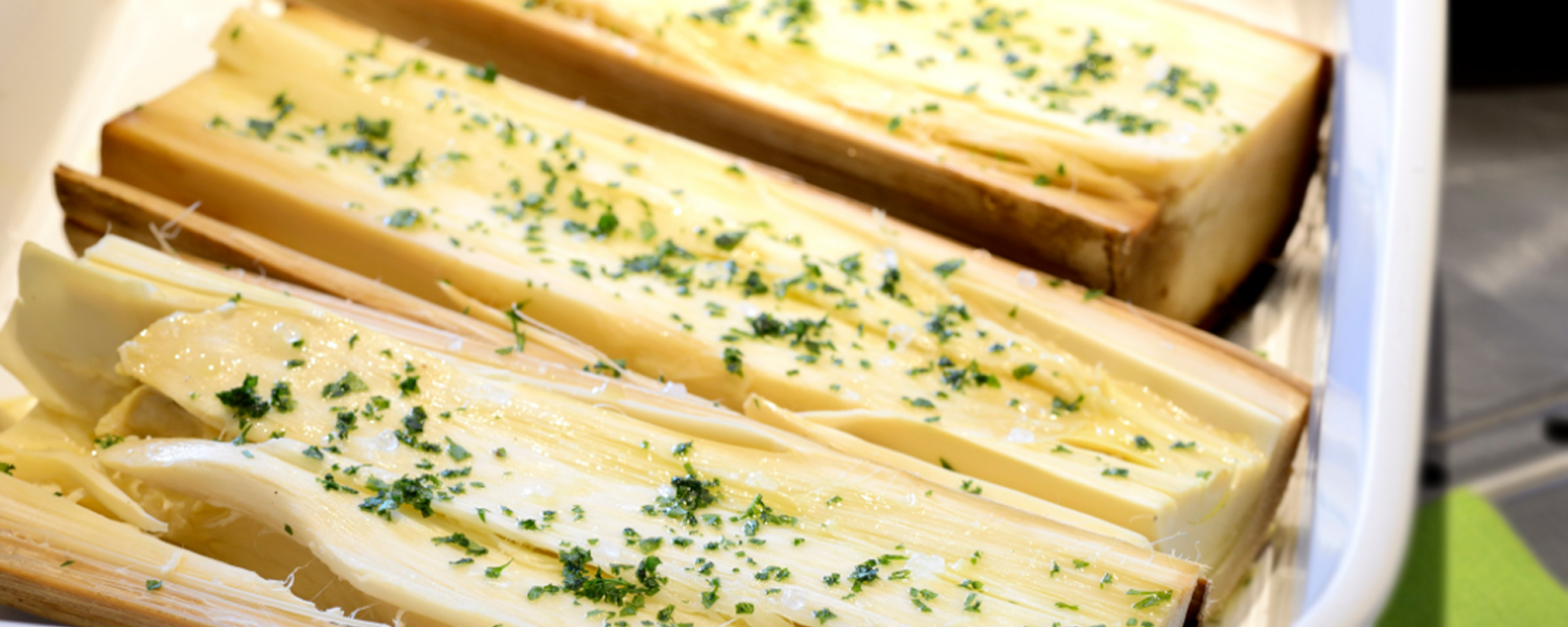 palmito em conserva cuidados ao consumir