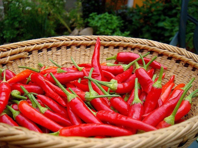 10 receitas com pimenta para acelerar o metabolismo