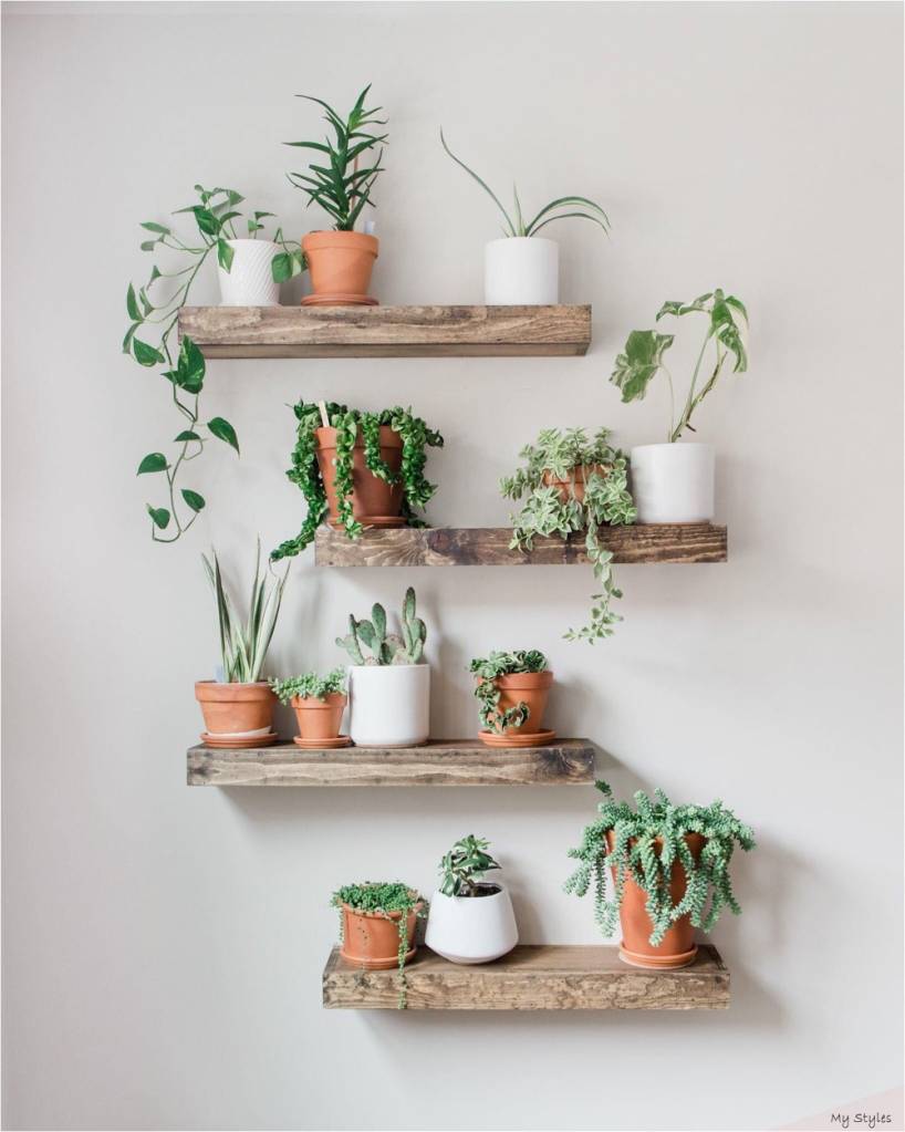 quanto custa decorar um apartamento com plantas
