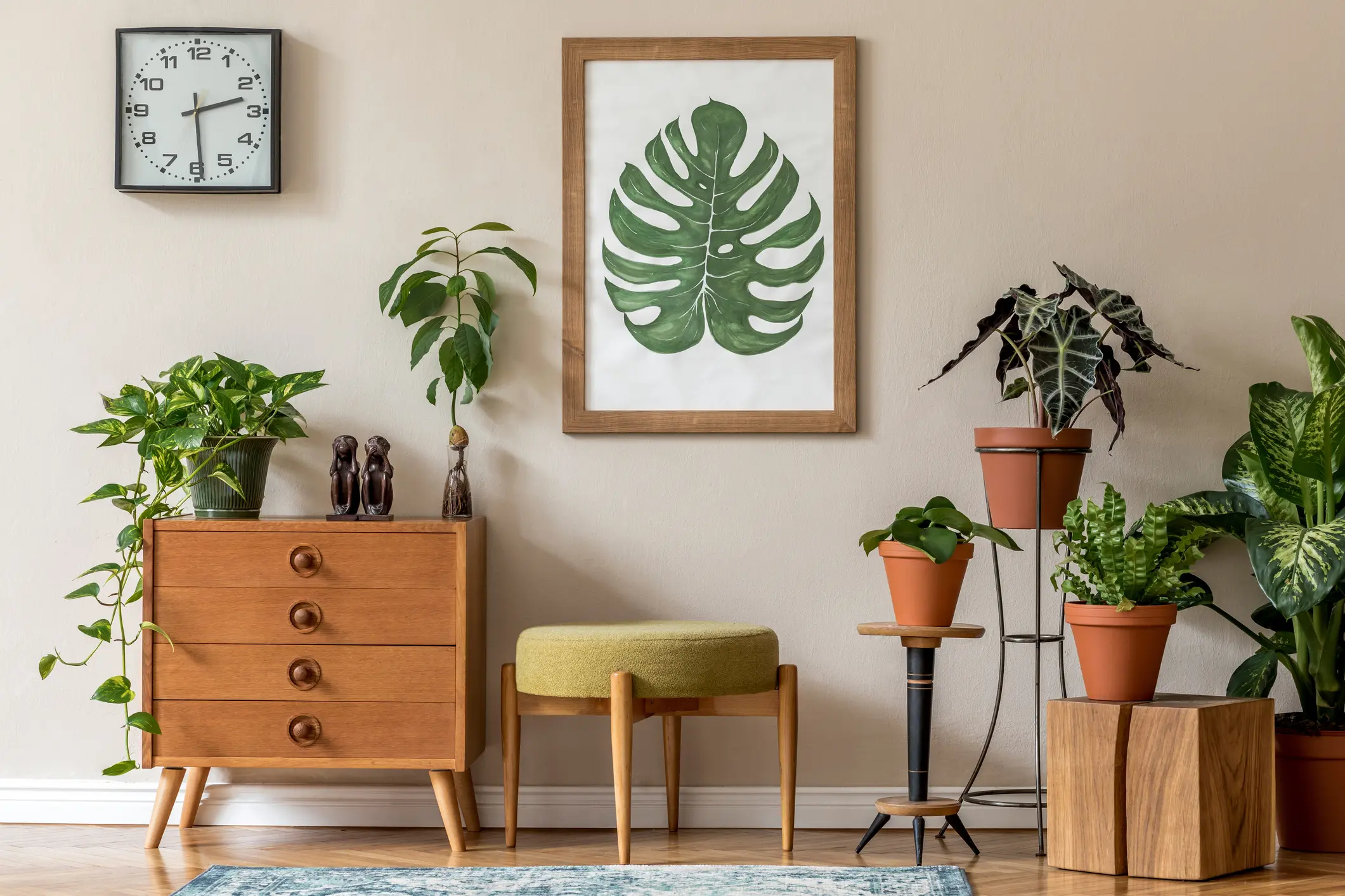 plantas na decoração de sala pequena inspiração