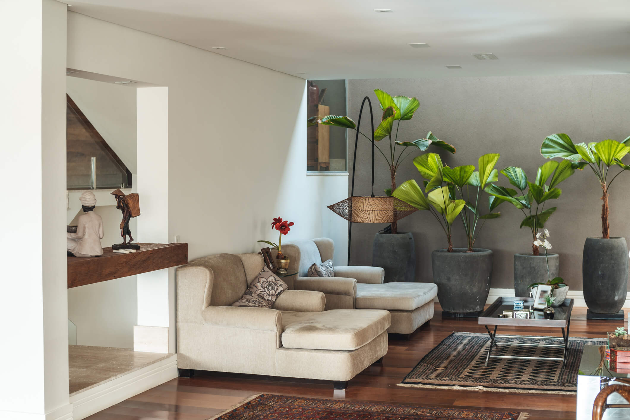 plantas na decoração de sala pequena inspiração