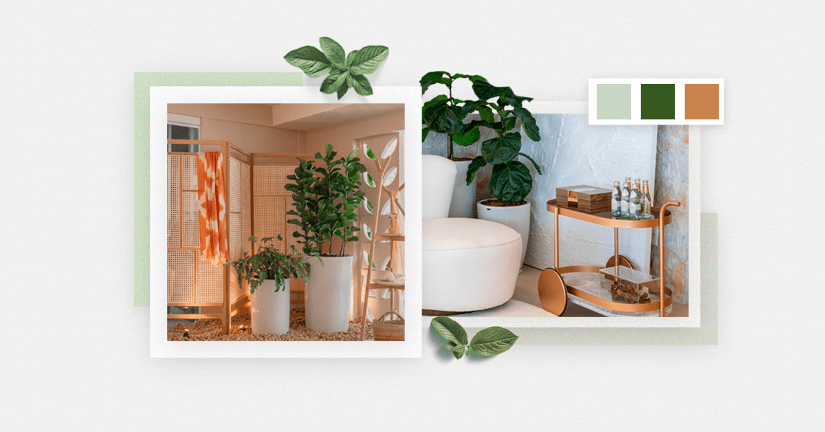 erros comuns ao decorar com plantas em casa