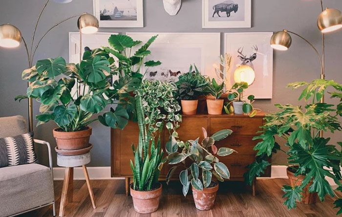 plantas artificiais vs plantas naturais na decoração