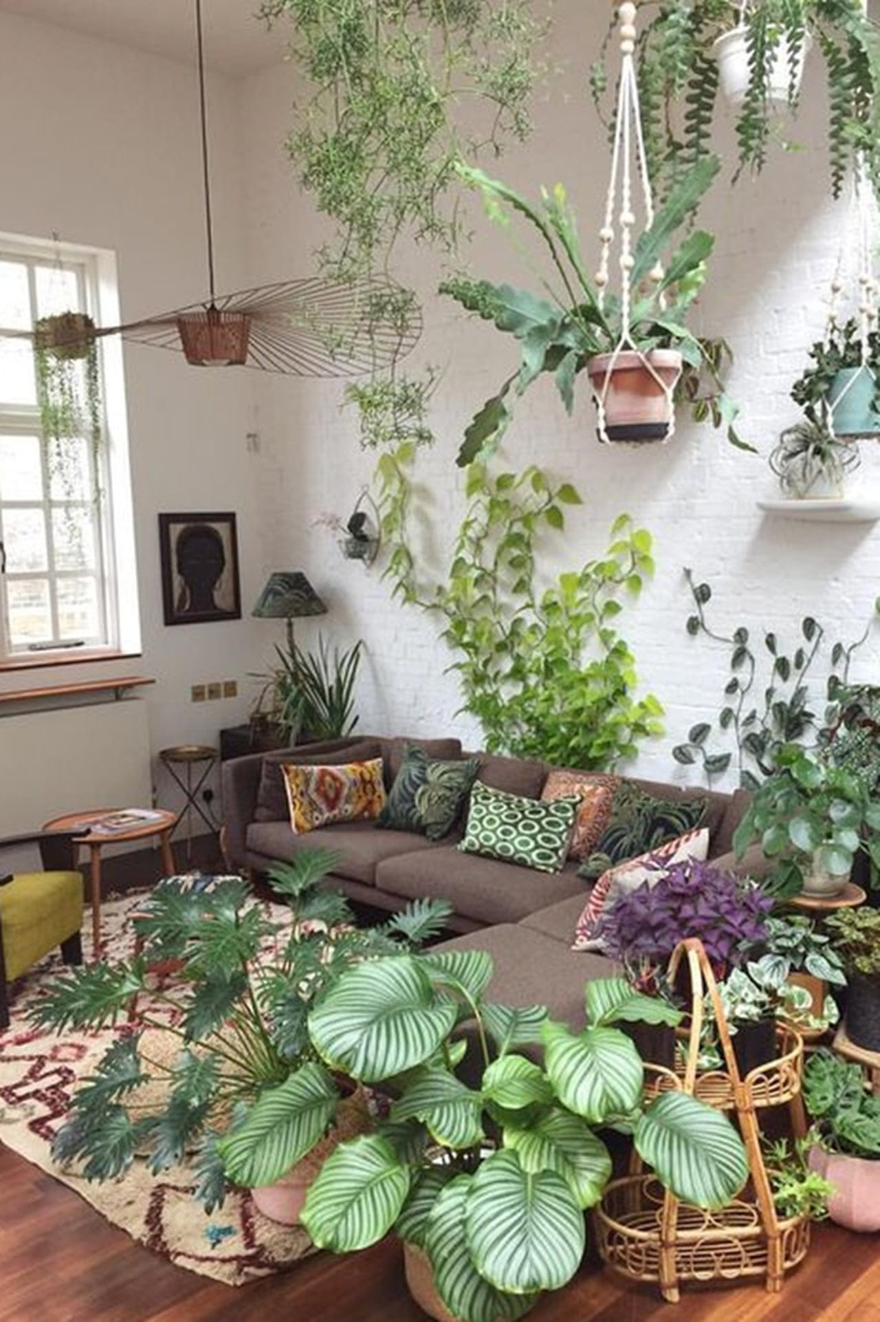 plantas na decoração