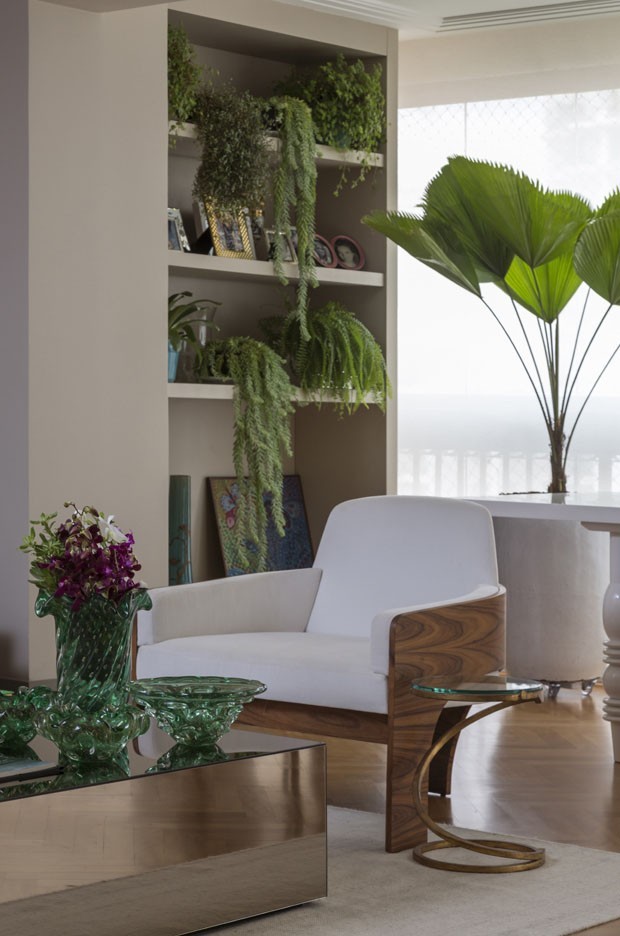 erros comuns ao decorar com plantas em casa