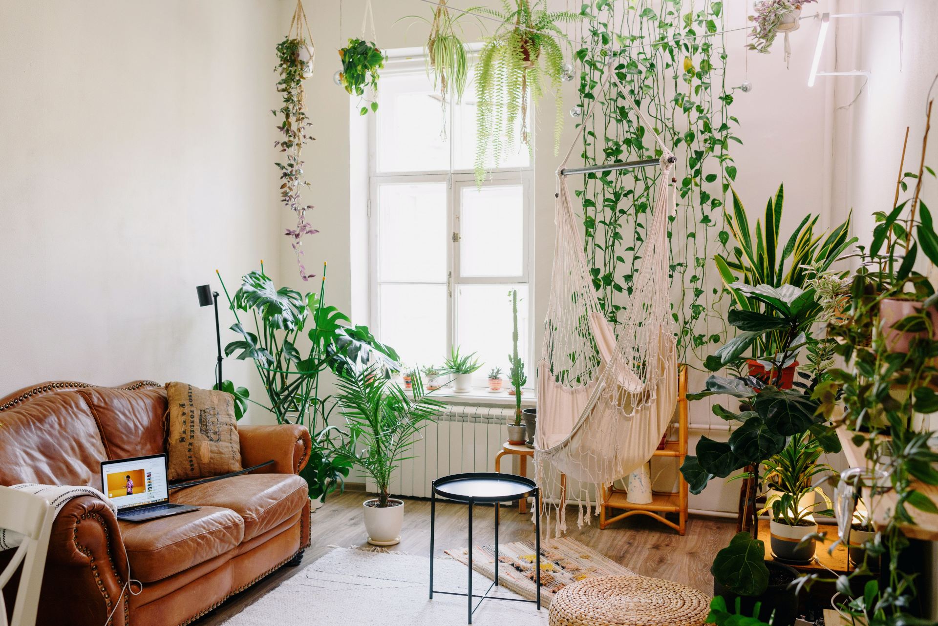 plantas artificiais vs plantas naturais na decoração