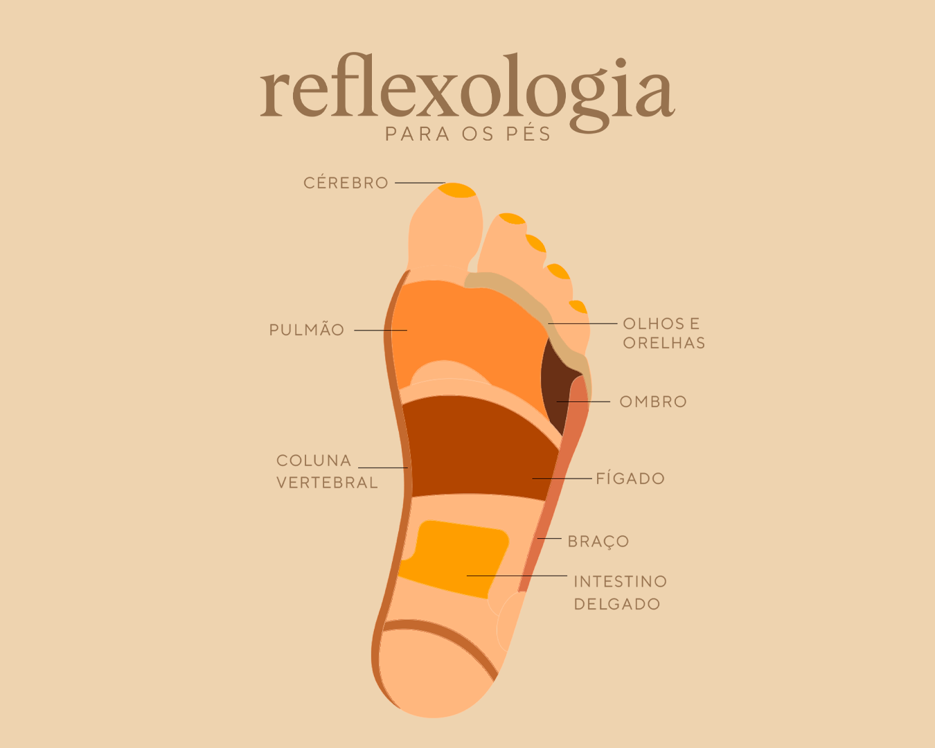 reflexologia podal contraindicações e riscos