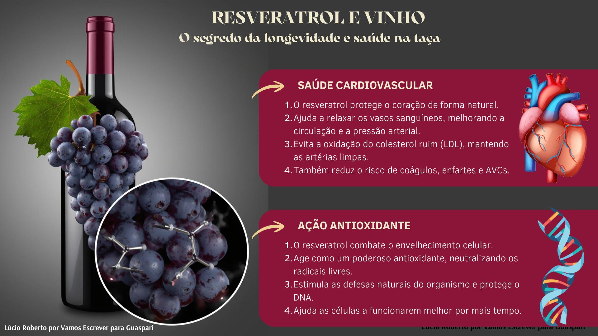 resveratrol o segredo do vinho tinto
