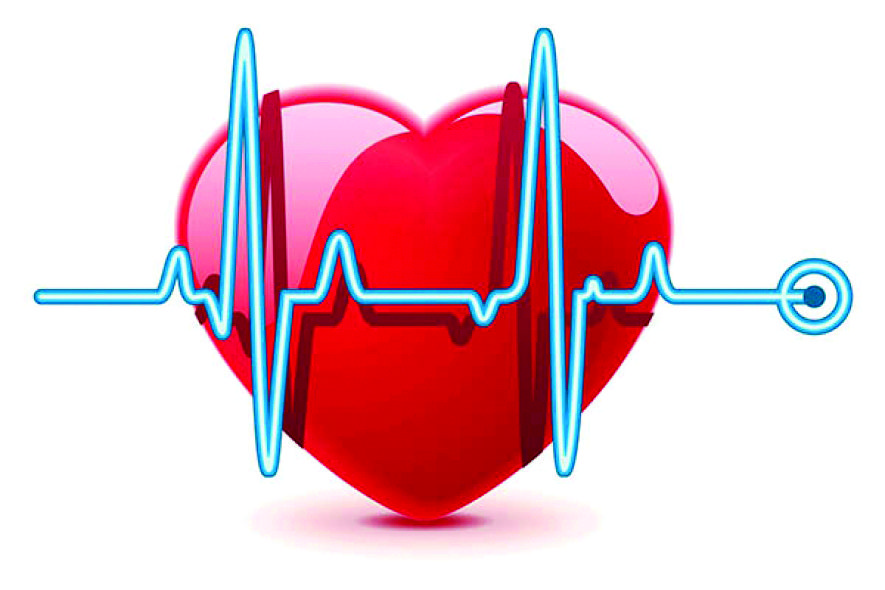 Guia Completo: Como Usar o Meu SUS Digital para Sua Saúde