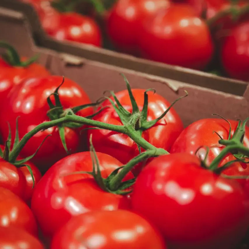 Como identificar a necessidade de suplementação de licopeno