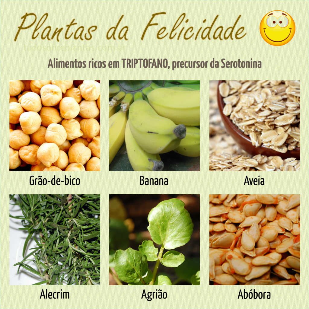 5 Alimentos Incríveis Ricos em Triptofano para Melhorar seu Humor