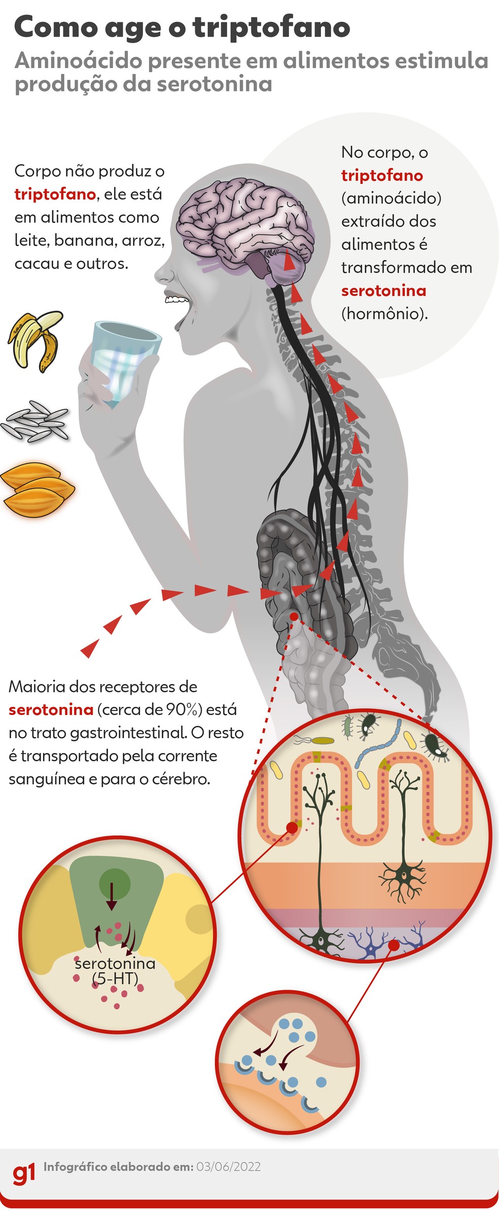 Controle da Ansiedade com Triptofano: Mitos e Verdades