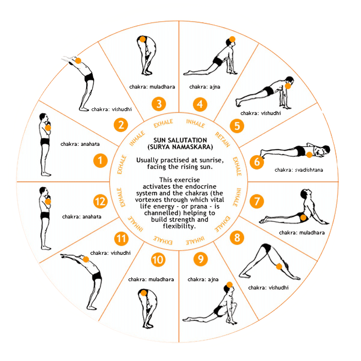 5 posturas de yoga para iniciantes com vídeo