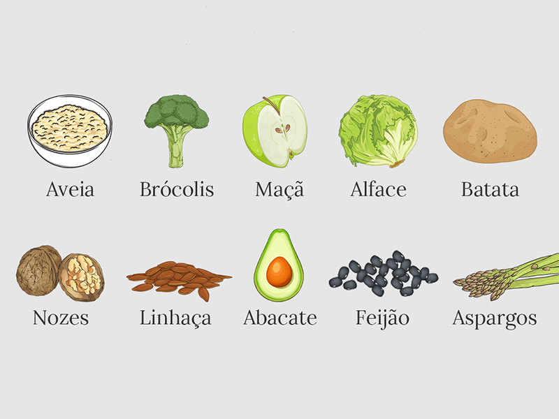 fibras para o intestino