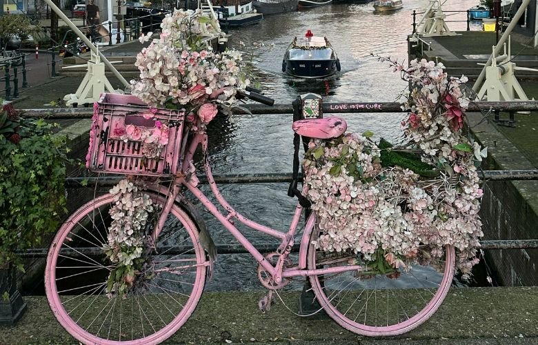 bicicleta floreira