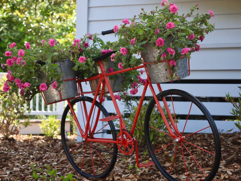 quadro bicicleta decoração