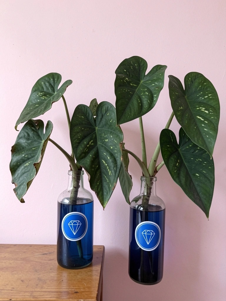 Prateleira de madeira com garrafas de gin vazias usadas como vasos e castiçais.