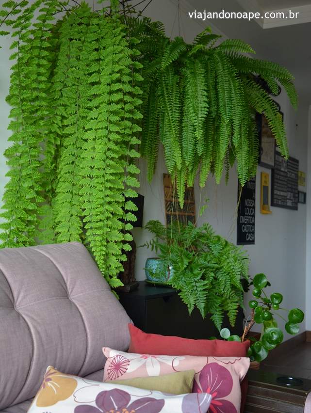 tendências de decoração 2026