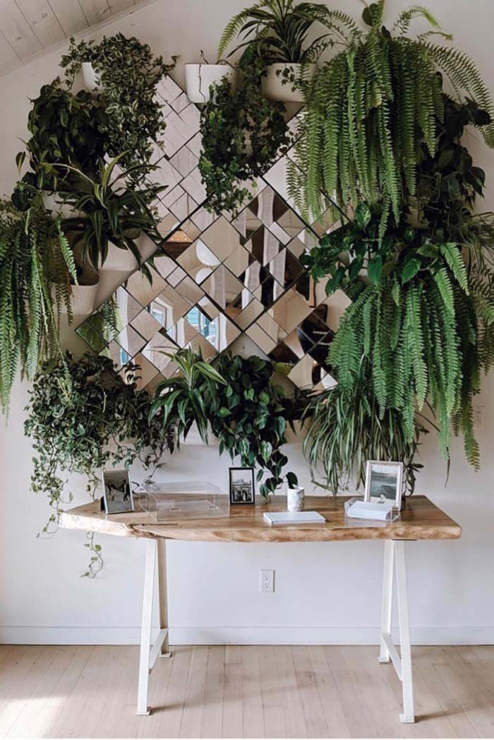 jardim vertical com samambaia
