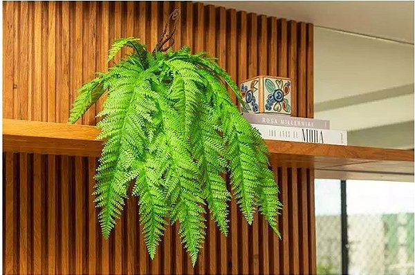 urban jungle decoração
