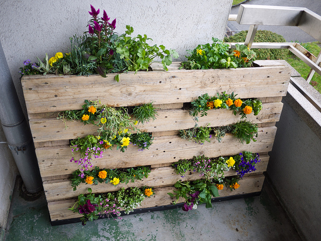 ideias com pallets para jardim