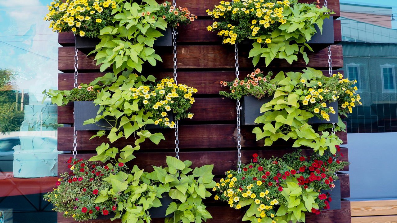 horta em pallet