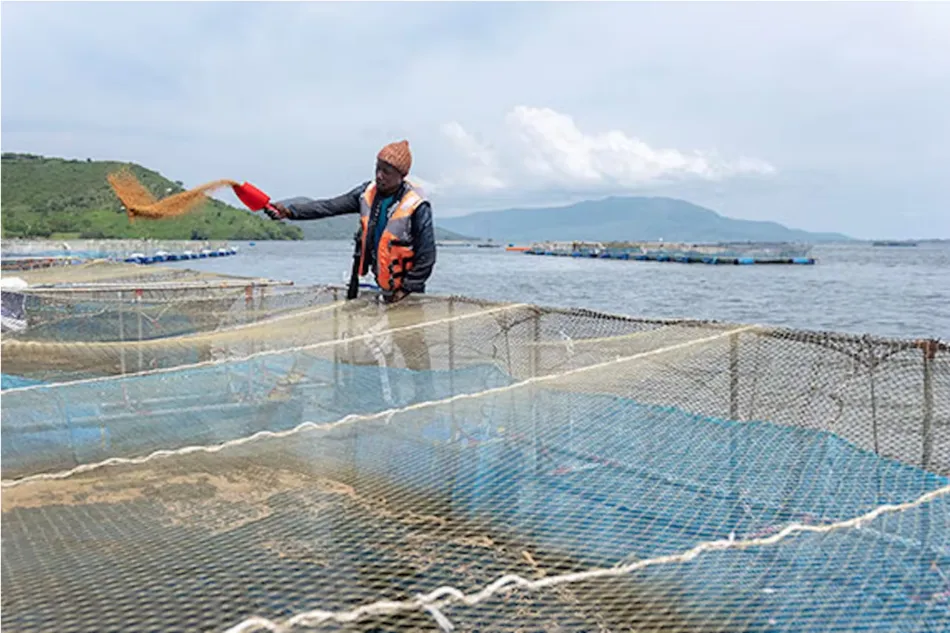 impacto ambiental pesca