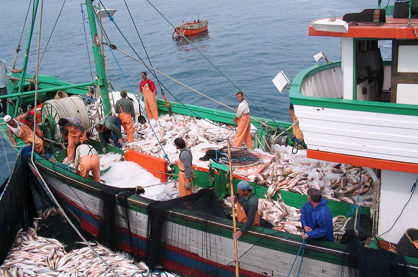certificação de pescado